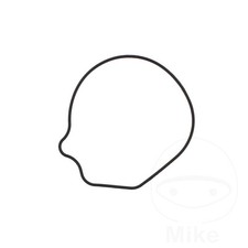 Tourmax Water Pump Gasket