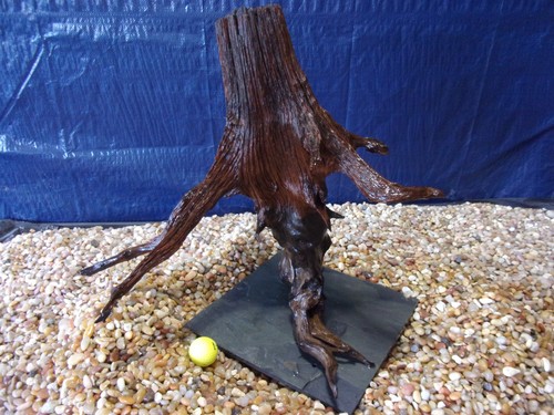 Xxx large driftwood mounted - driftwood,