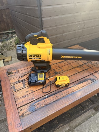Dewalt 18v leaf blower - , kit