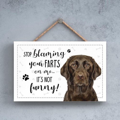 Chocolate labrador fun - labrador, sign