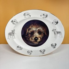BORDER TERRIER MacDonald Fine