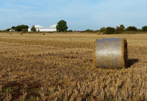 Photo 6x4 field and bales - and, next