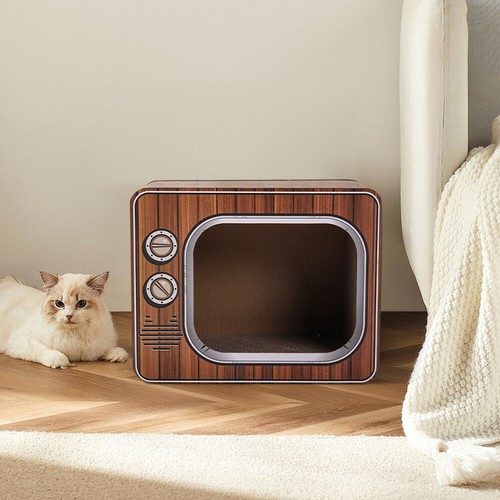 Cat cardboard house - cat,