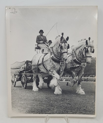 Vintage 1952 fremlins dray - vintage,