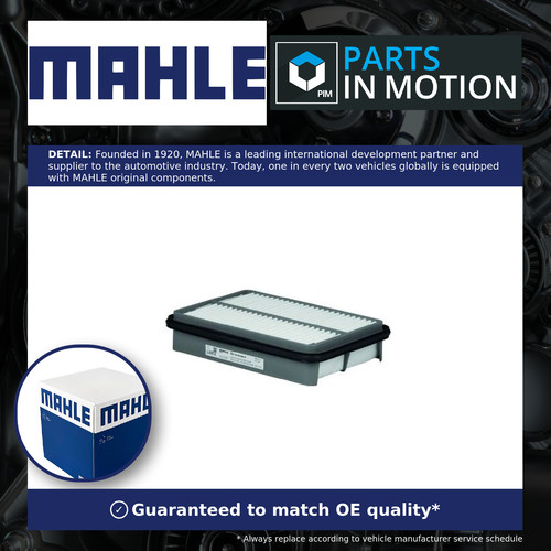 Air filter fits - fits, town