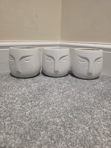 Ceramic plant pots - plant,