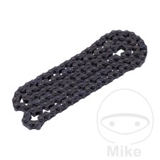 BorgWarner Endless Cam Chain