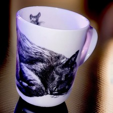 Casual Cats - Roy Kirkham