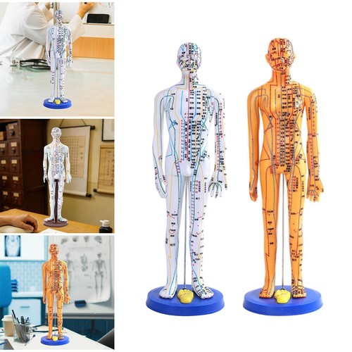 Chinese medical acupuncture - chinese,
