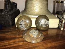 Polished Ammonite Goniatite Fossil Palm Stones
