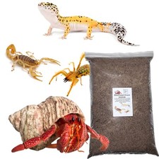 Bugznbits Hermit Crab