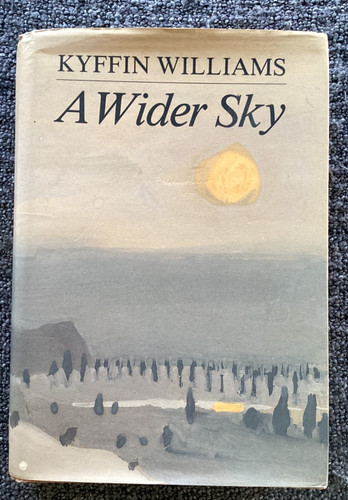 Wider sky williams - sky,,