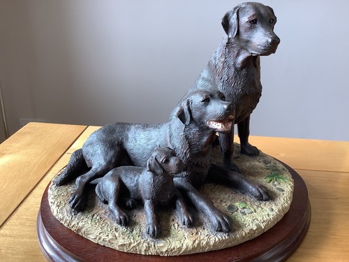 Border fine arts - arts, labrador