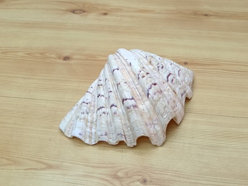 Vintage large 21cm - vintage,