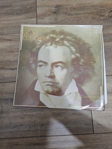 Beethoven violin concerto - beethoven,