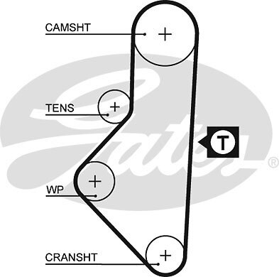 New timing belt for - timing,