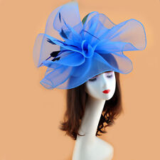 Hat Fascinator Cilp Party
