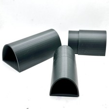 Pleco Catfish Breeding D Shape