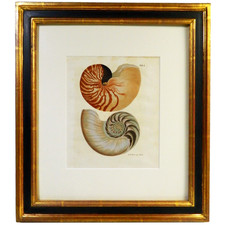 Original 1757-64 Framed KNORR
