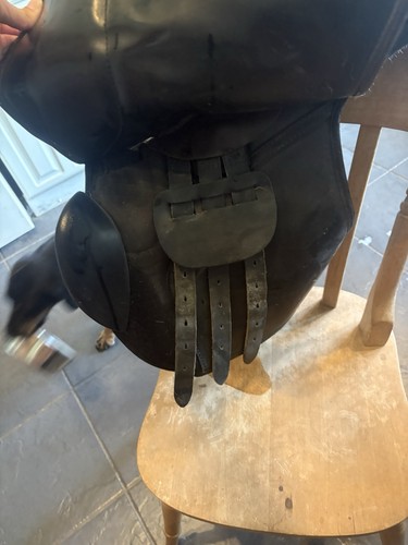 Saddle company - saddle,