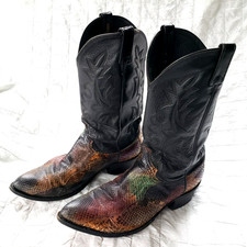 Dan Post Vintage Rainbow