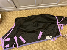 Pony outdoor rug 3'9" with back straps purple and back