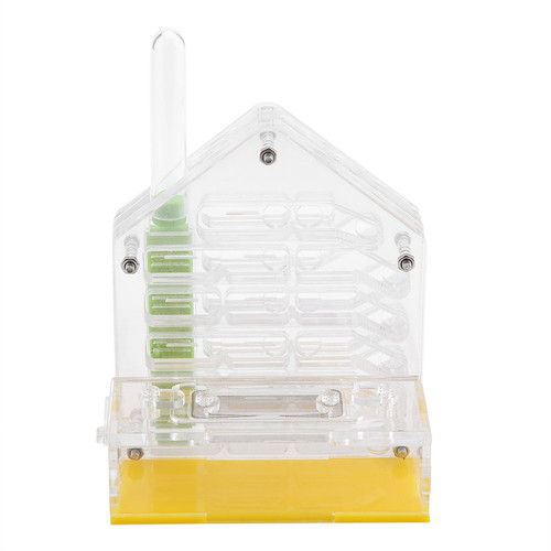 Ant farm visualization - 3d,
