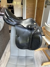 Prestige Golden Star Jumping