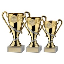 Gold Multi Sports Trophy Cup