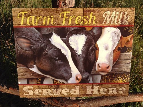 Farm fresh milk served - farm, here