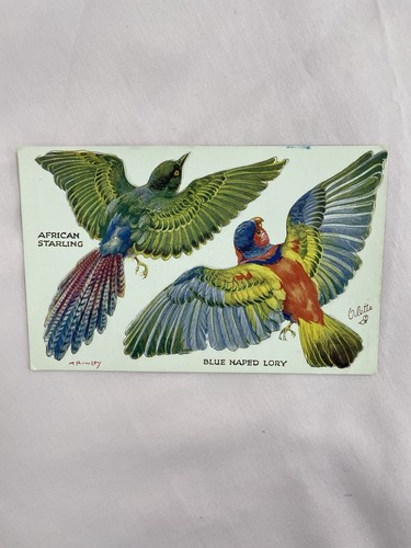 Birds the wing series - series, by