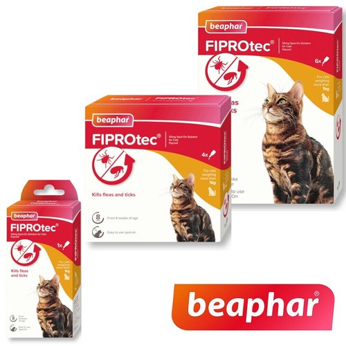 Cat flea treatment beaphar - flea,