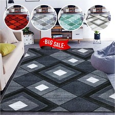 Non Slip Large Area Rugs Living Room Carpet Runner Rug Hallway Kitchen Floor Mat