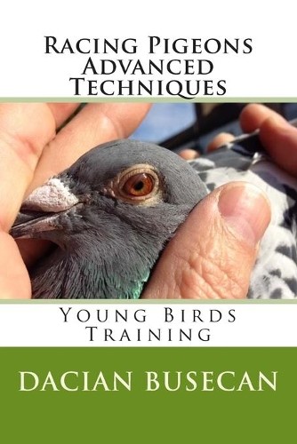 Dacian busecan racing pigeons - dacian,