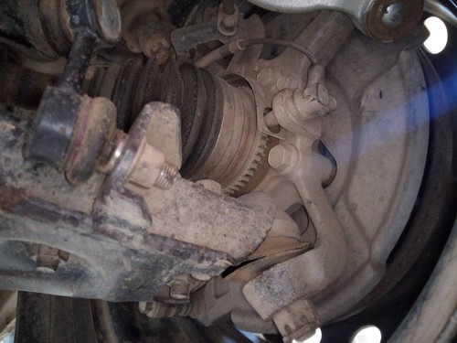 Front left ankle 2389760 - ankle,