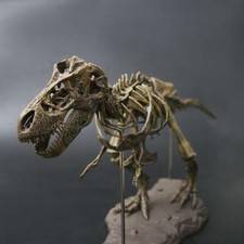 Rex dinosaur skeleton model - t-rex,