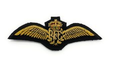 Badge wing RFC Royal Flying