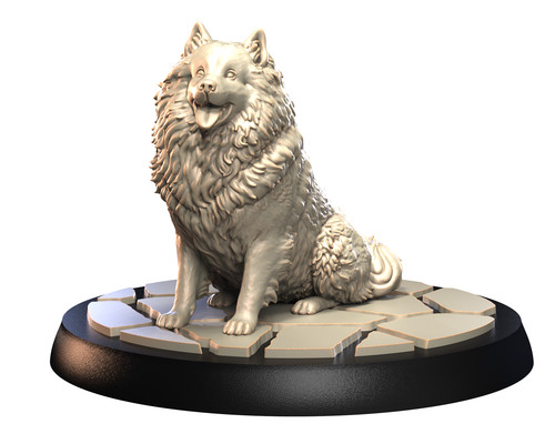 Dogs2 keeshond 1 - dogs2,