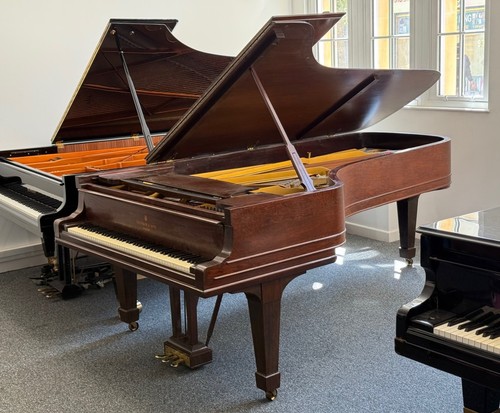 Steinway sons model d - steinway,