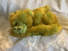 Kaycee Bears Ltd Edition Large