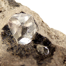 Herkimer Diamond Floater Crystal in Matrix NY USA Mineral Specimen 271g Xtl 14mm