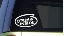 Doberman Inside *I289* 8" wide