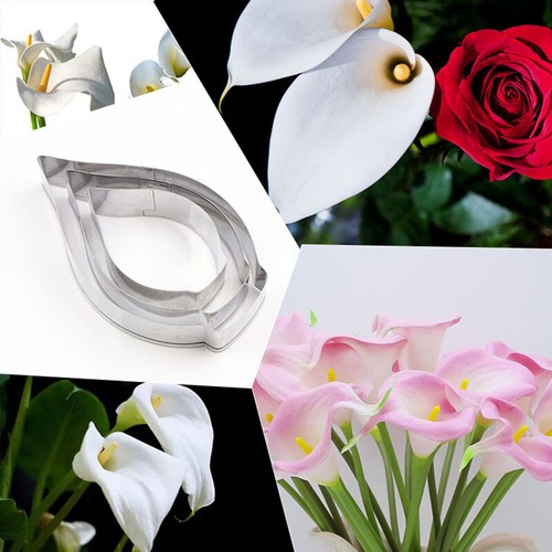 Calla lily flower cutting - calla,