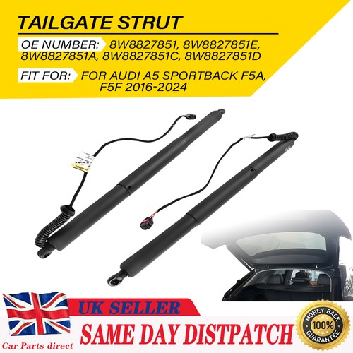 Power electric tailgate - electric,
