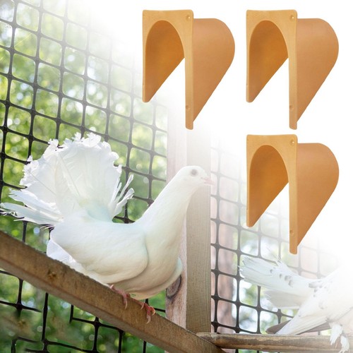 Packs carrier pigeon home - 3,