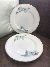 JAJ Pyrex - Wildfowl Flying