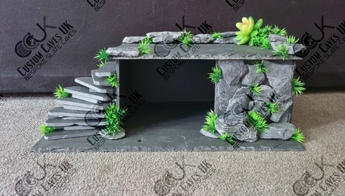 Bearded dragon slate hide and - slate,