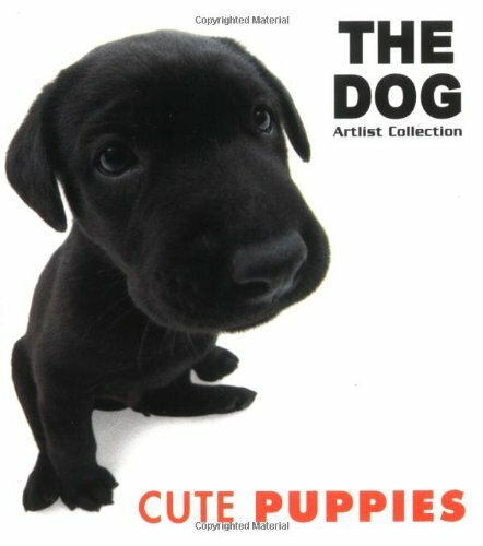 Cute puppies not - cute,