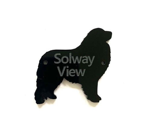 Pyrenean mountain dog door - dog,