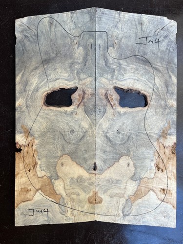 Buckeye burl bookmatched - burl,